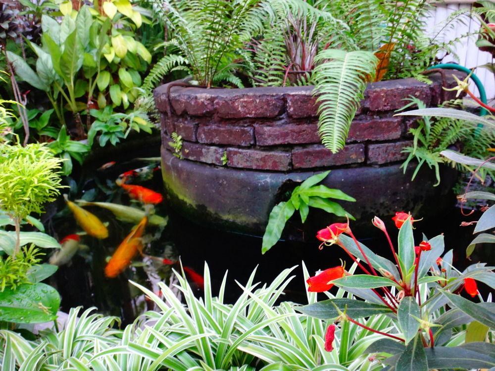 Stay With Me Guest House Chiang Mai Exterior foto