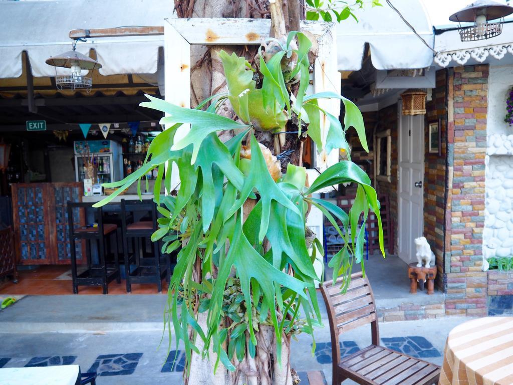 Stay With Me Guest House Chiang Mai Exterior foto