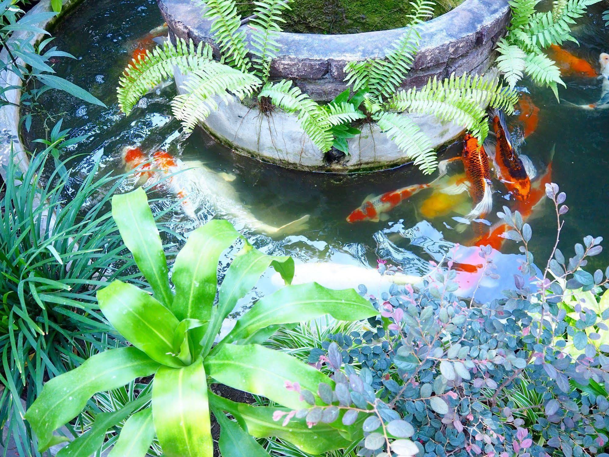 Stay With Me Guest House Chiang Mai Exterior foto